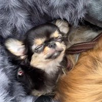 眠くなってしまった