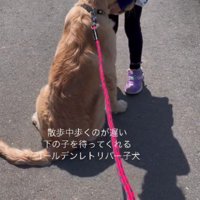 今ではすっかり仲良しに