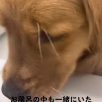 ひまりちゃんが侵入！！