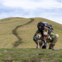 山登り