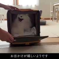 「どこに行くの！？」