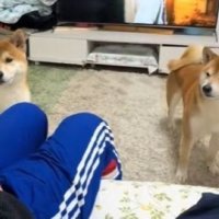 子どものような姿が愛おしい…♡