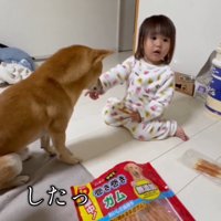 おすわりをした犬を見て驚く女の子