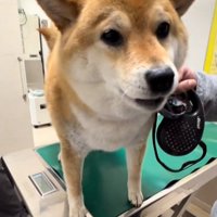 ドヤ顔のあーちゃん