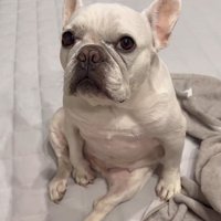 はなちゃんの体勢8