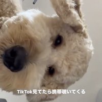 とにかく気になる