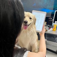 本を読もうとしたら