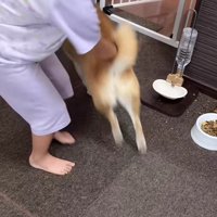 追いかけっこする2人