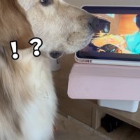 困惑する麹くん9