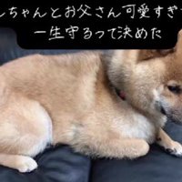 「雷が怖かったの…」