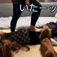 マッサージ開始！