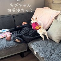伸び～♪