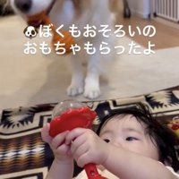 おもちゃの形がソックリ