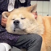 幸せそうな顔にホッコリ