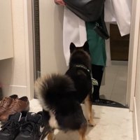 まずは匂いをチェック！