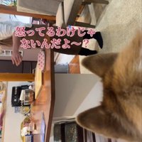 パンを作るママ2