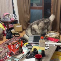 恐る恐る部屋に入るも…