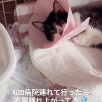 病院で処置を受けることに