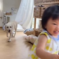 女の子を追いかけて…