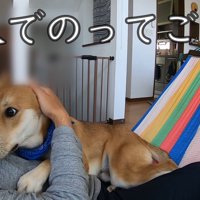 お父さんが降りようとしたら…