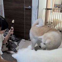 「呼んだ〜？」