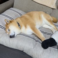 のんびり