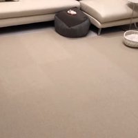 犬用のベッドが2つ
