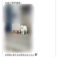 愛犬の可愛い姿が♡