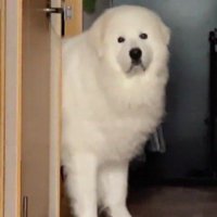 表情豊かな定晴くん