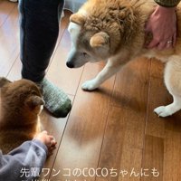 いとちゃんの成長記録4