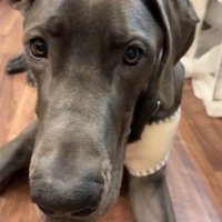 アレックスくん