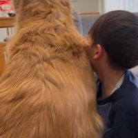 座っている犬にもたれかかっている男の子の後ろ姿