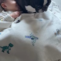 こんぶちゃんと赤ちゃん6