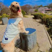 おでかけが楽しくてニコニコ♪