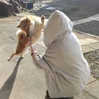 尊い