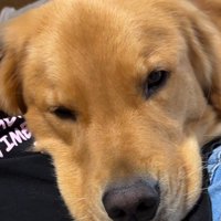 アルトくんと子どもたちの日常