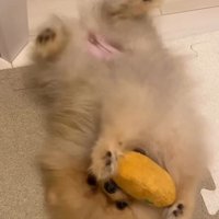 元気に成長しています♪