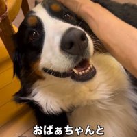 「オヤツ」の一言で笑顔に♪