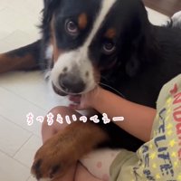 甘噛みするマロンちゃん