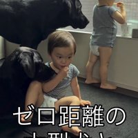 おやつを食べる双子の赤ちゃん