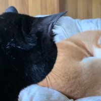 じーっ