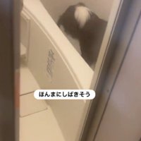 ジャックくんがいる！！