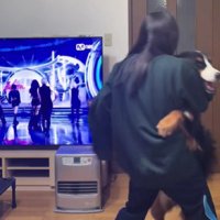 これは…なに…？