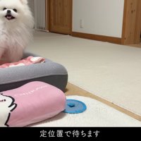 定位置に移動