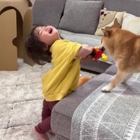 ぬいぐるみを取られた！