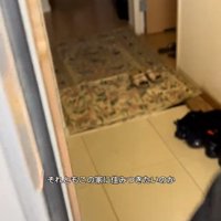 奥へ進むちょっちゃん