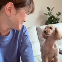 飼い主と見つけ合う小型犬