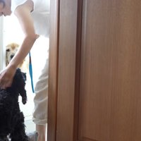 結局、リードで強制連行！