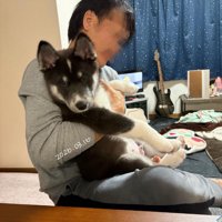 約1ヶ月で大きくなりました