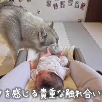 可愛い触れ合いにホッコリ♡